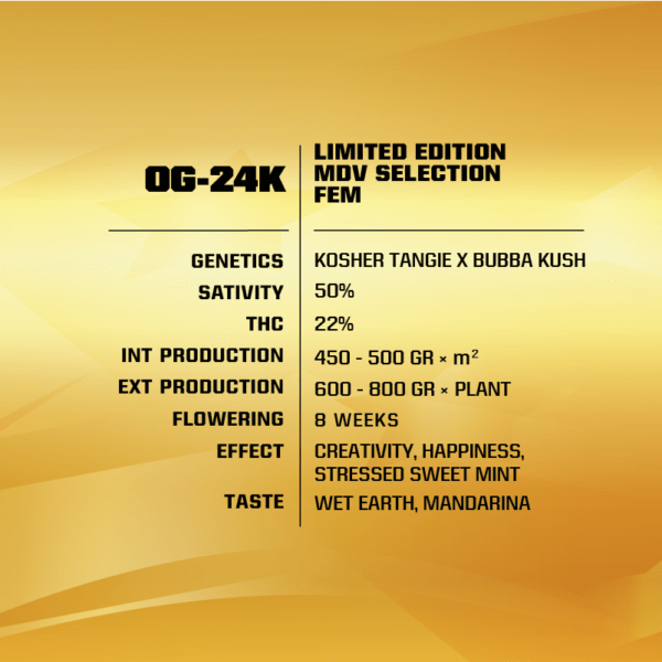 OG24K / LIMITED EDITION - BSF SEEDS SeedTopia Best Cannabis seed bank in Thailand