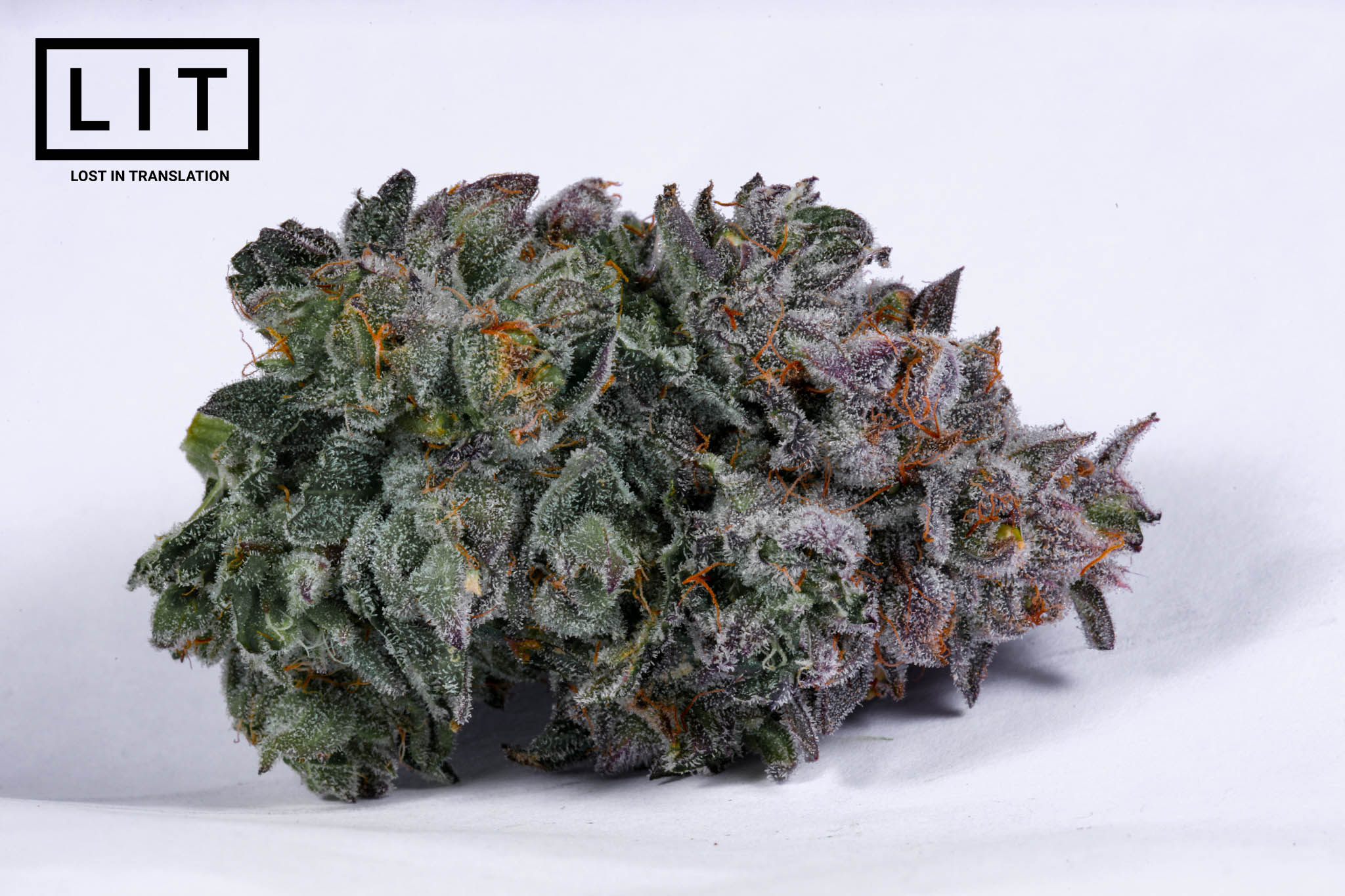 Cat Nip - LIT Farms - Image 6