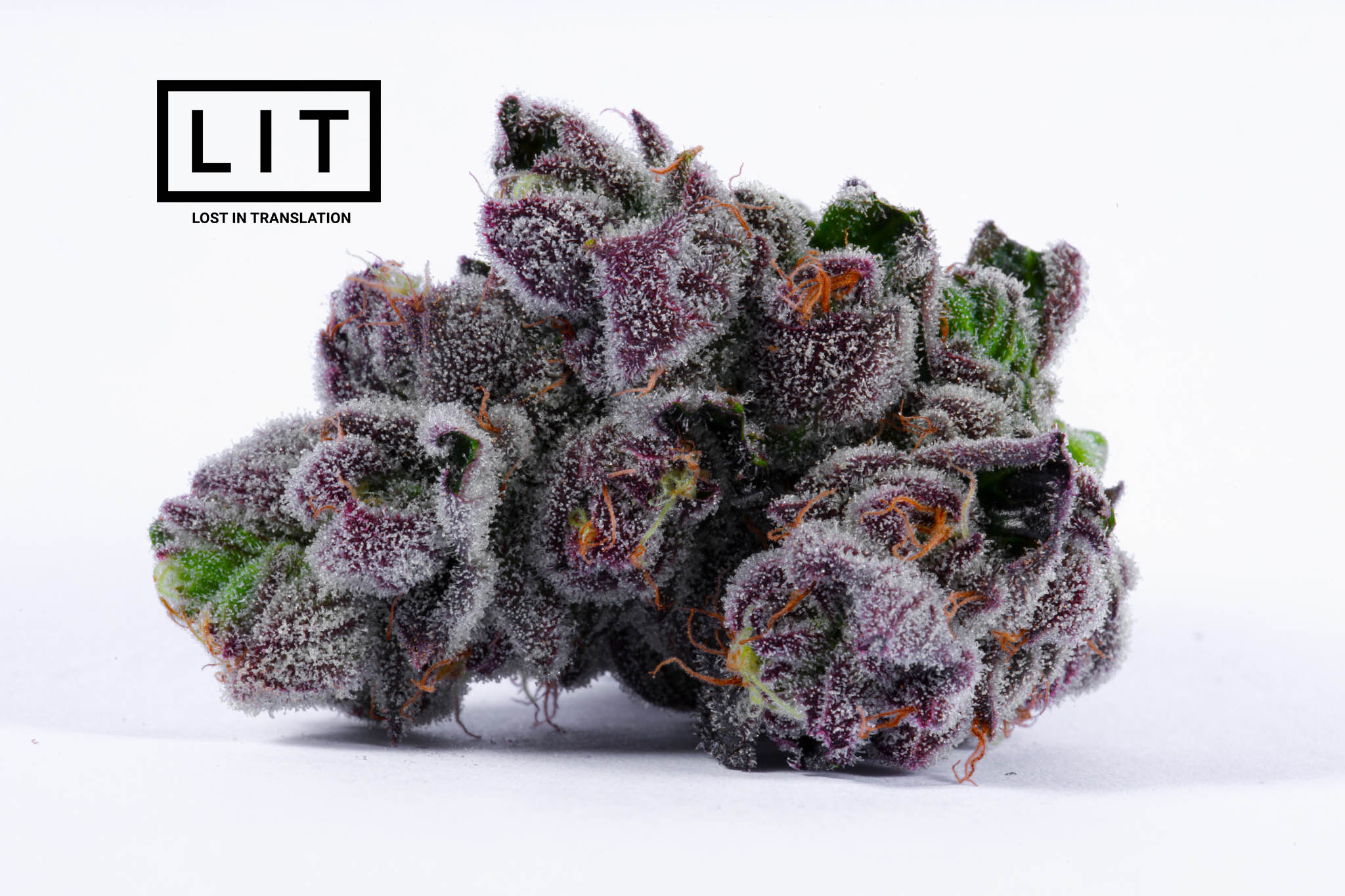 Pink Kitty - LIT Farms - Image 5