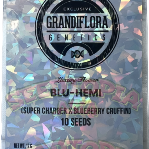Blu-Hemi - Grandiflora Genetics SeedTopia Cannabis seed bank Thailand