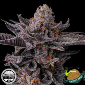 Flextane - Grandiflora Genetics