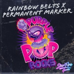 Purple Pop Rocks - StarFire Genetix