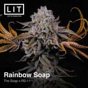 Rainbow Soap - LIT Farms. SeedTopia Cannabis seed shop Thailand