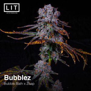 Bubblez - LIT Farms