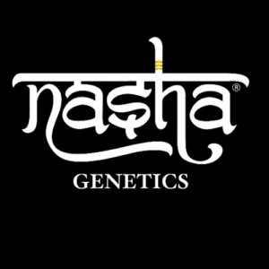 Nasha Genetics
