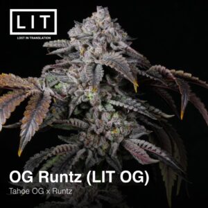 OG Runtz (LIT OG) - LIT Farms