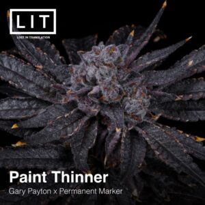 Paint Thinner - LIT Farms