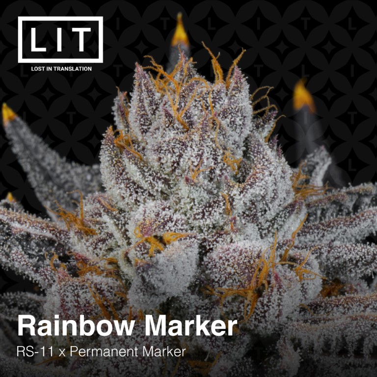 Rainbow Marker - LIT Farms - Image 3