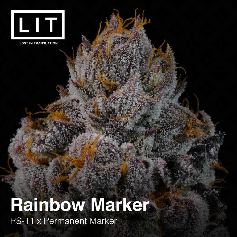 Rainbow Marker - LIT Farms - Image 7