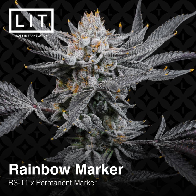 Rainbow Marker – LIT Farms