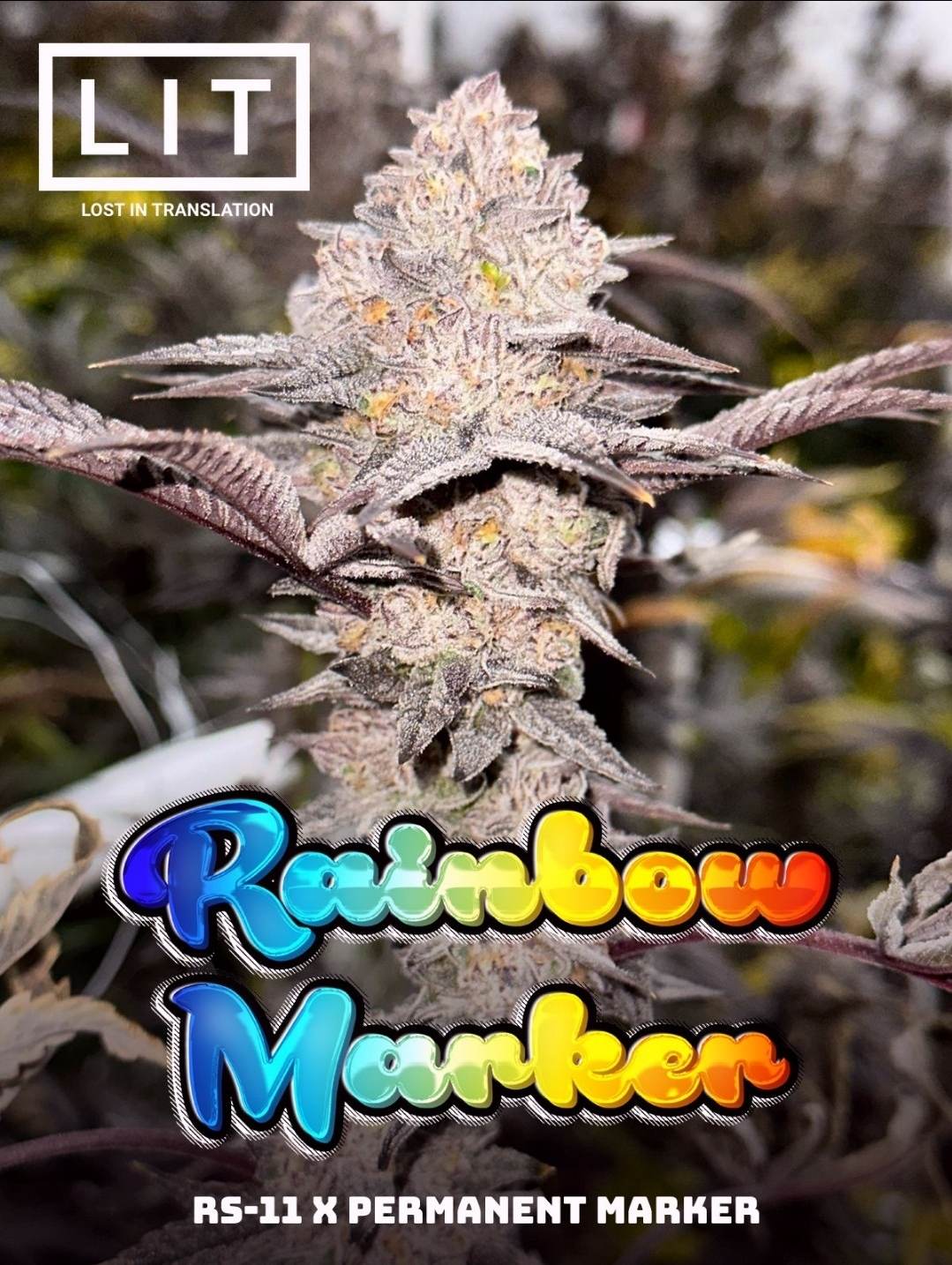 Rainbow Marker - LIT Farms