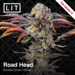 Road Head - LIT Farms