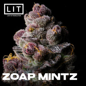 Zoap Mintz - LIT Farms