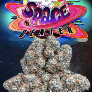 Space Center - Jungle Boys