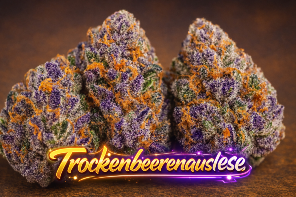 Trokenbeerenauslese - BeLeaf Genetics » SeedTopia Cannabis Seeds Shop ...