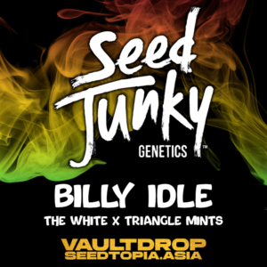 Billy Idle - Seed Junky Genetics