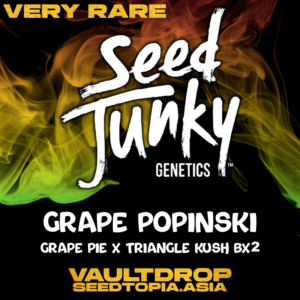 Grape Popinski - Seed Junky Genetics