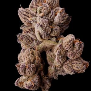 Scented Marker - Seed Junky Genetics