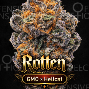 Rotten - Offensive Selections